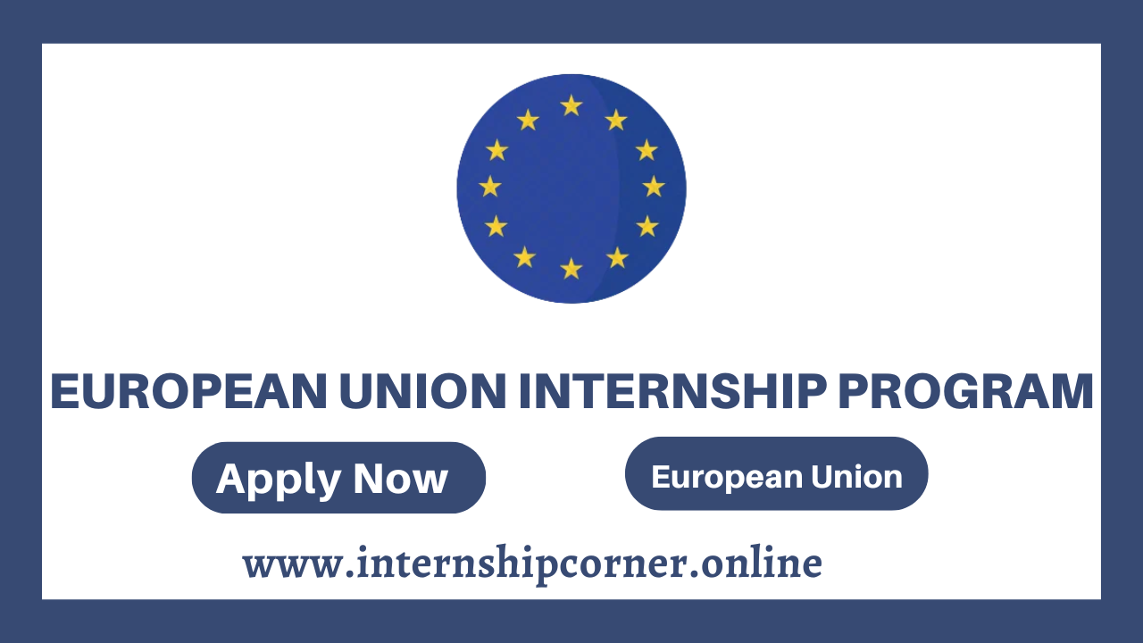European Union Internship Program