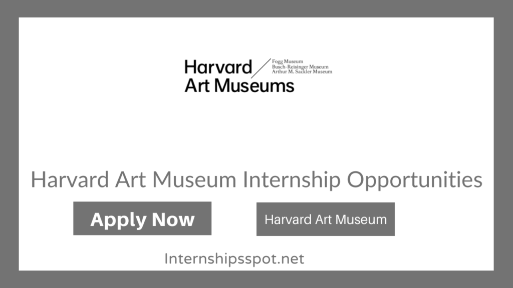 Harvard Art Museum Internship Opportunities
